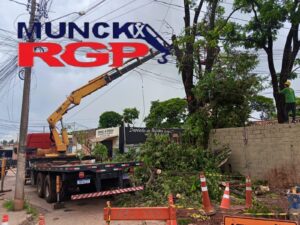 Munck Ribeirão Preto, oferecendo equipamentos de alta capacidade e operadores qualificados para serviços de içamento e transporte de cargas pesadas